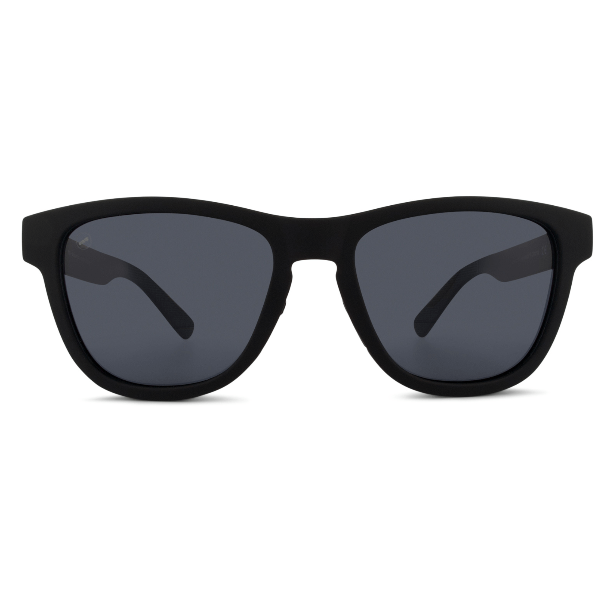 Valencia Blackberry sunglasses, size large-XL, front view.